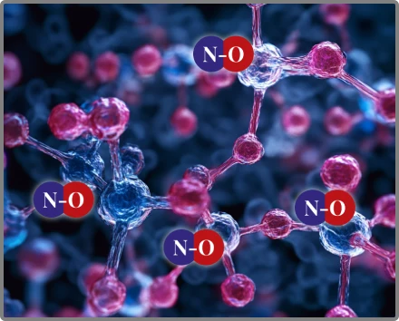 Nitric Boost Supplement